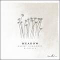 Meadow (feat. Cecily) (Single) by Krissy Nordhoff | CD Reviews And Information | NewReleaseToday