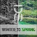 Winter to Spring (Single) by Dustin Starks | CD Reviews And Information | NewReleaseToday