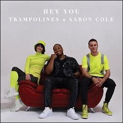 Hey You (feat. Aaron Cole) (Single) by Trampolines  | CD Reviews And Information | NewReleaseToday