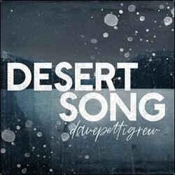 Desert Song (Single) by Dave Pettigrew | CD Reviews And Information | NewReleaseToday