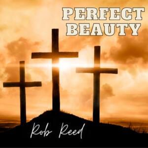 Perfect Beauty (Single) by Rob Reed | CD Reviews And Information | NewReleaseToday