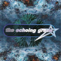 The Echoing Green by The Echoing Green  | CD Reviews And Information | NewReleaseToday