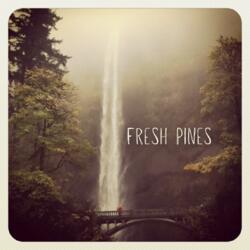 Fresh Pines (Single) by Mike Rathke | CD Reviews And Information | NewReleaseToday