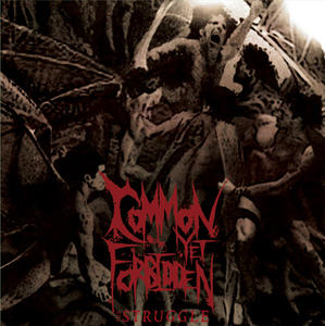 The Struggle by Common Yet Forbidden | CD Reviews And Information | NewReleaseToday