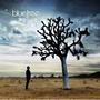 God of This City by Bluetree