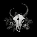 Summer of Darkness by Demon Hunter  | CD Reviews And Information | NewReleaseToday