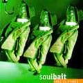 Soulbait by Code of Ethics  | CD Reviews And Information | NewReleaseToday