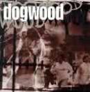 More Than Conquerors by Dogwood  | CD Reviews And Information | NewReleaseToday