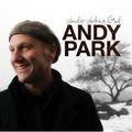 Wonder Working God by Andy Park | CD Reviews And Information | NewReleaseToday