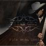 Wide Open Road by Bryan Cole | CD Reviews And Information | NewReleaseToday