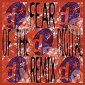 Fear of the Digital Remix by Deitiphobia  | CD Reviews And Information | NewReleaseToday