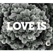 Love Is by C3 Youth | CD Reviews And Information | NewReleaseToday