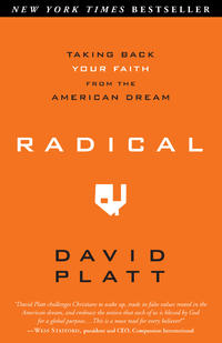 Radical Taking Back Your Faith from the Americvan Dream by  