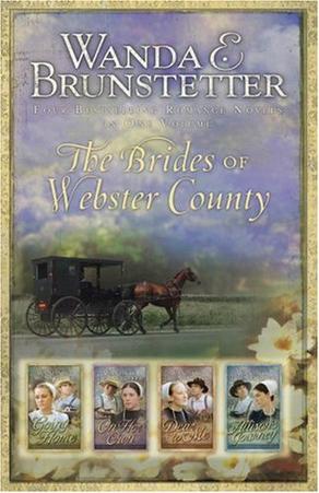 Webster County Omnibus: Going Home/On Her Own/Dear to Me/Allison's Journey (Brides of Webster County 1-4), by Aleathea Dupree Christian Book Reviews And Information