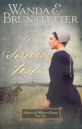 A Sister's Test,Sisters of Holmes County Series # 2 by Aleathea Dupree Christian Book Reviews And Information