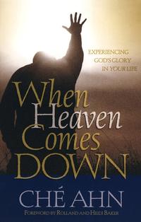 When Heaven Comes Down: Experiencing God's Glory in Your Life  by Aleathea Dupree