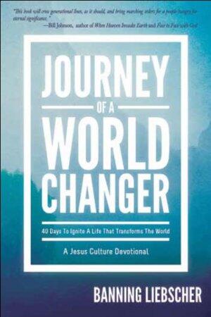 Journey of a World Changer, by Aleathea Dupree Christian Book Reviews And Information