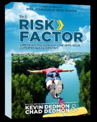 The Risk Factor  by Aleathea Dupree