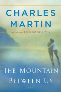 The Mountain Between Us: A Novel  by  