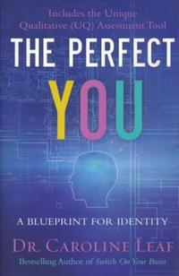 The Perfect You A Blueprint for Identity by  